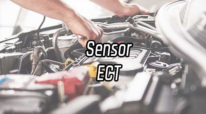 Sensor de temperatura refrigerante – Sensor ECT