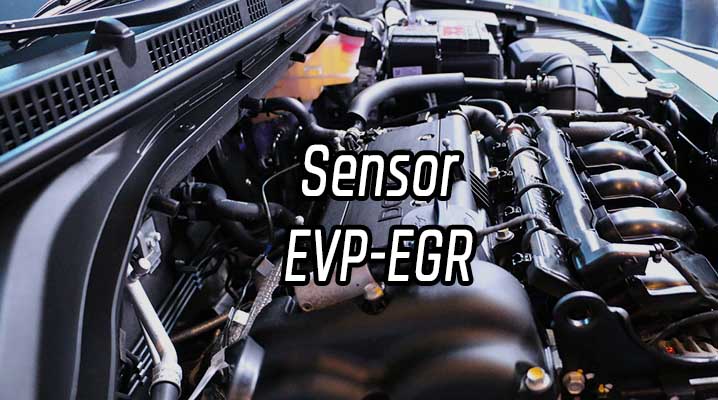 Sensor de posición de la válvula EGR – Sensor EVP